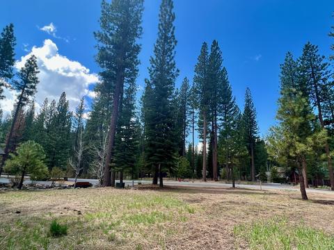 138 Black Bear Trl, Clio, CA 96106 photo 3