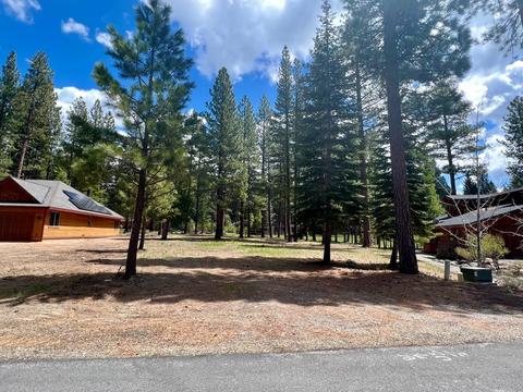138 Black Bear Trl, Clio, CA 96106 photo 7