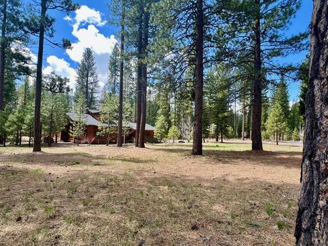 138 Black Bear Trl, Clio, CA 96106 photo 10