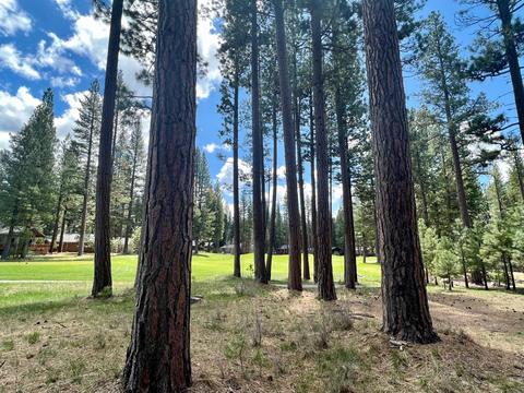 138 Black Bear Trl, Clio, CA 96106 photo 4
