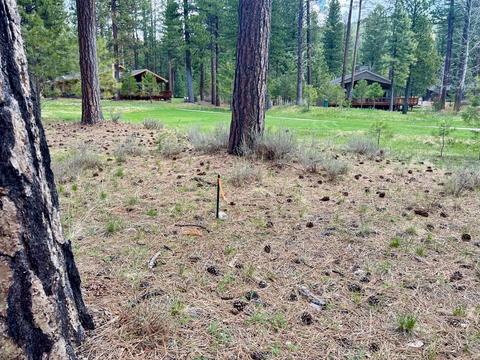 138 Black Bear Trl, Clio, CA 96106 photo 6