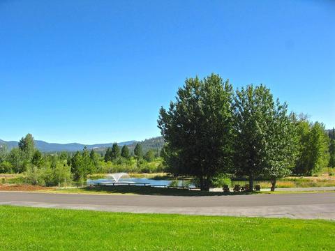 138 Black Bear Trl, Clio, CA 96106 photo 23