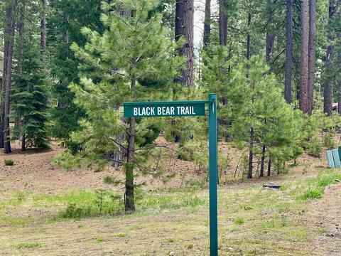 138 Black Bear Trl, Clio, CA 96106 photo 12