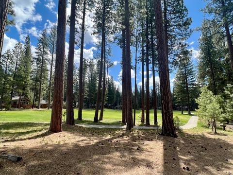 138 Black Bear Trl, Clio, CA 96106 photo 5