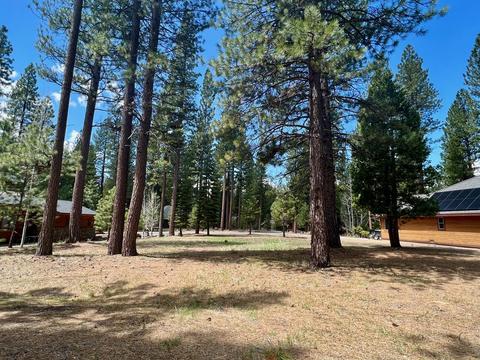 138 Black Bear Trl, Clio, CA 96106 photo 11