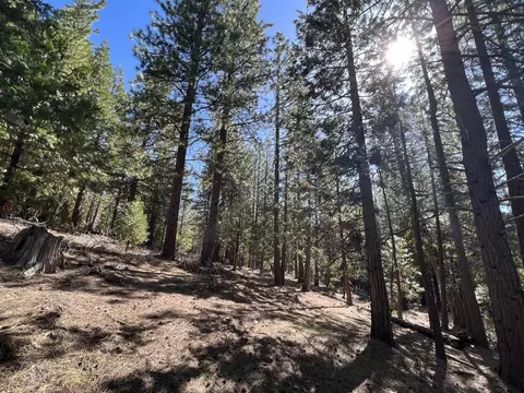 69691 Chippy Ln, Blairsden, CA 96103 photo 16