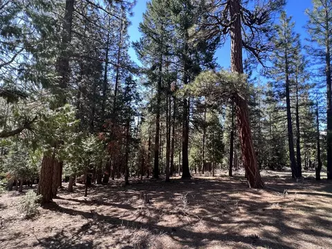 69691 Chippy Ln, Blairsden, CA 96103 photo 19