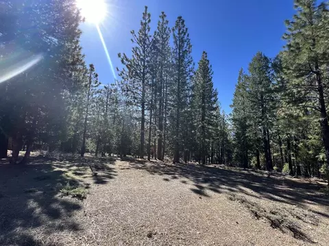 69691 Chippy Ln, Blairsden, CA 96103 photo 10