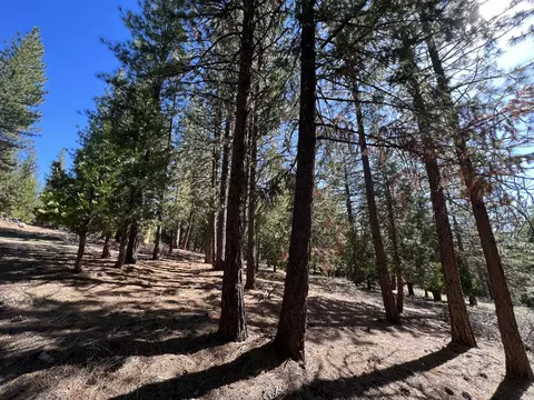 69691 Chippy Ln, Blairsden, CA 96103 photo 14