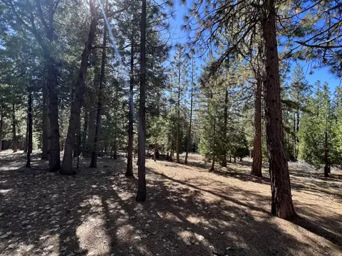 69691 Chippy Ln, Blairsden, CA 96103 photo 8