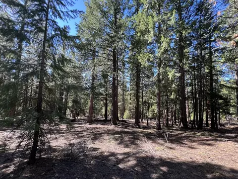 69691 Chippy Ln, Blairsden, CA 96103 photo 11