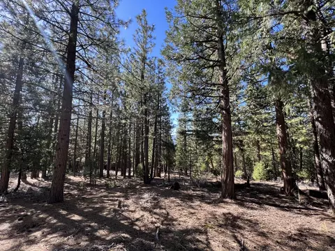 69691 Chippy Ln, Blairsden, CA 96103 photo 12