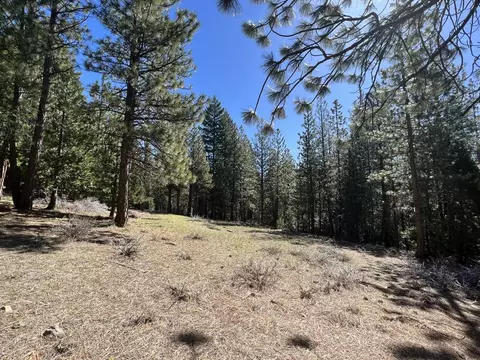 69691 Chippy Ln, Blairsden, CA 96103 photo 22