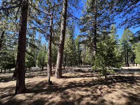 69691 Chippy Ln, Blairsden, CA 96103 photo 7