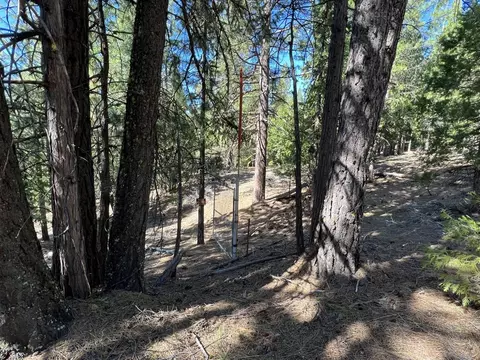 69691 Chippy Ln, Blairsden, CA 96103 photo 15