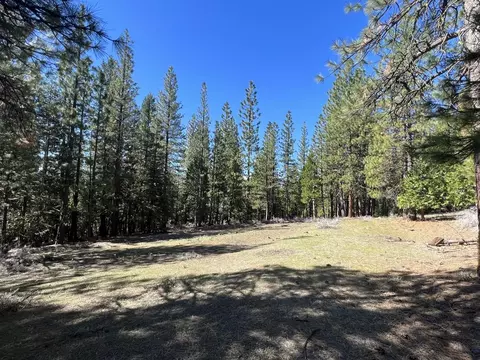 69691 Chippy Ln, Blairsden, CA 96103 photo 21