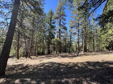 69691 Chippy Ln, Blairsden, CA 96103 photo 18