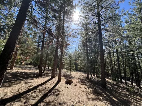 69691 Chippy Ln, Blairsden, CA 96103 photo 13