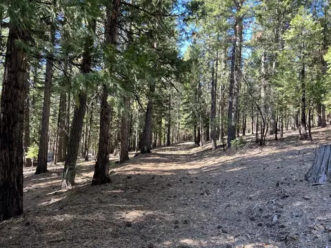 69691 Chippy Ln, Blairsden, CA 96103 photo 28