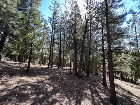 69691 Chippy Ln, Blairsden, CA 96103 photo 9