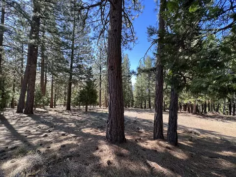 69691 Chippy Ln, Blairsden, CA 96103
