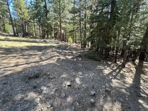 69691 Chippy Ln, Blairsden, CA 96103 photo 24