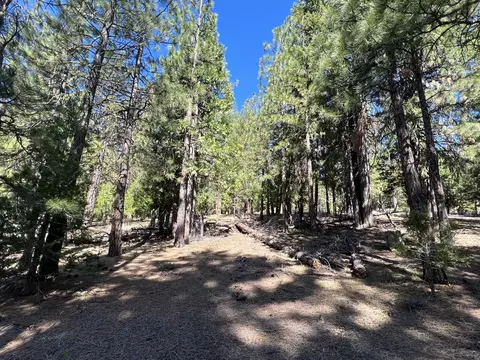 69691 Chippy Ln, Blairsden, CA 96103 photo 20