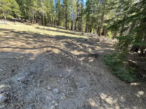 69691 Chippy Ln, Blairsden, CA 96103 photo 27
