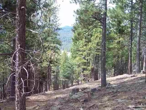 2650 Beaver Rd, Clio, CA 96106 photo 6