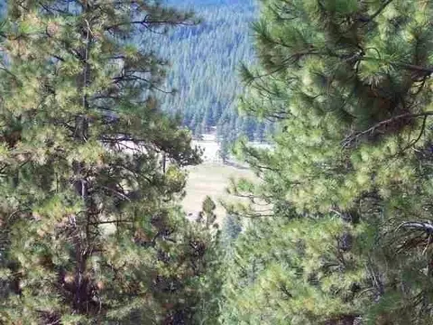 2650 Beaver Rd, Clio, CA 96106
