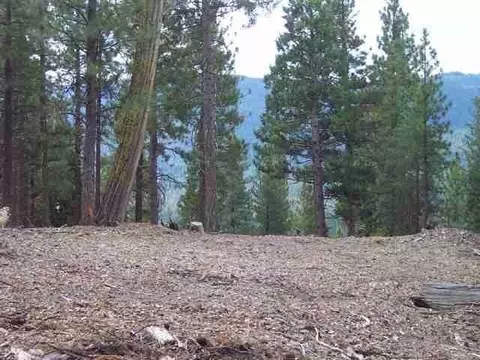 2650 Beaver Rd, Clio, CA 96106 photo 5