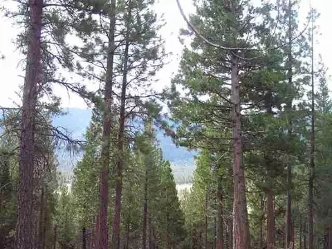 2650 Beaver Rd, Clio, CA 96106 photo 3