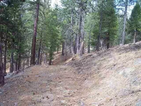 2650 Beaver Rd, Clio, CA 96106 photo 7