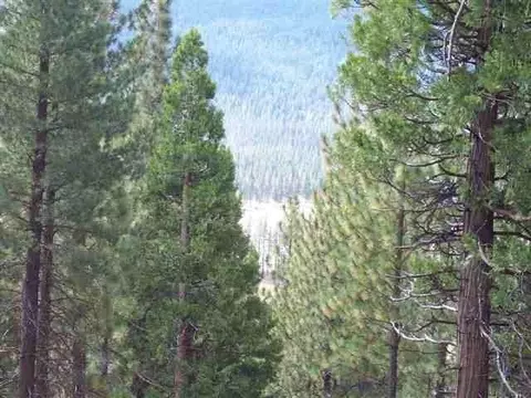 2650 Beaver Rd, Clio, CA 96106 photo 2