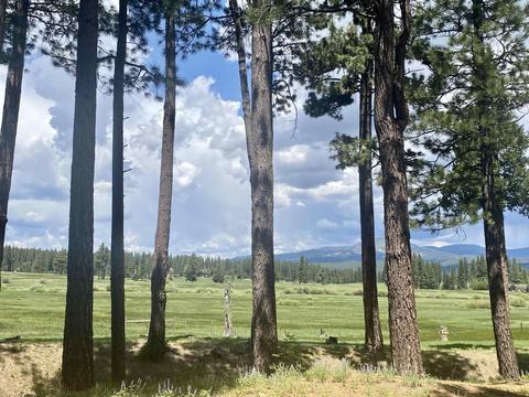 765 S Meadow Dr, Clio, CA 96106 photo 2