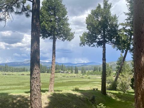 765 S Meadow Dr, Clio, CA 96106 photo 3