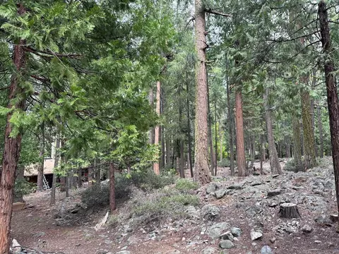3 Yana Trl, Graeagle, CA 96103 photo 18