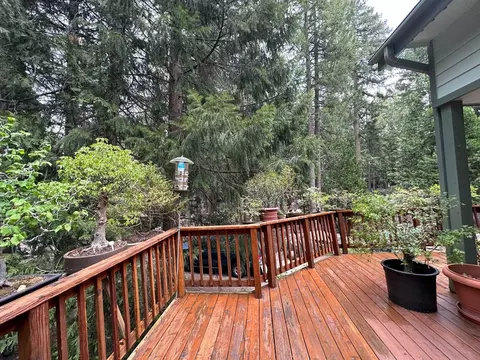 3 Yana Trl, Graeagle, CA 96103 photo 19