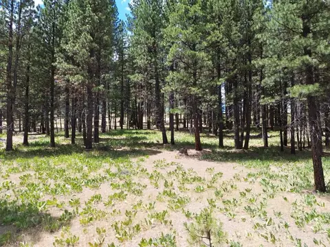 247 Gold Nugget Ln, Graeagle, CA 96103 photo 18