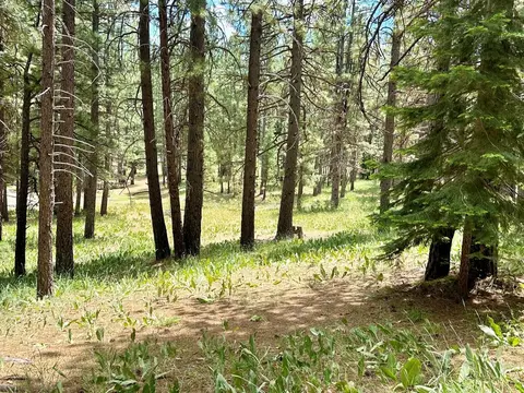 247 Gold Nugget Ln, Graeagle, CA 96103 photo 14