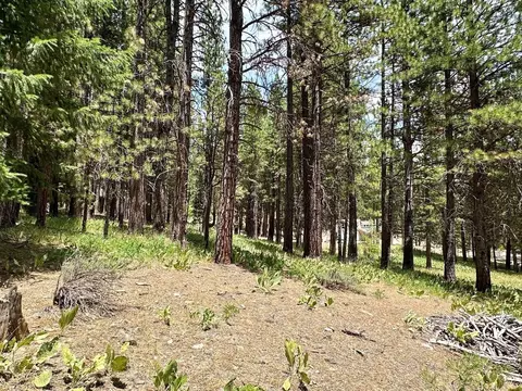247 Gold Nugget Ln, Graeagle, CA 96103 photo 15