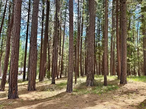 247 Gold Nugget Ln, Graeagle, CA 96103 photo 17