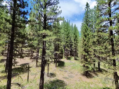 247 Gold Nugget Ln, Graeagle, CA 96103 photo 12