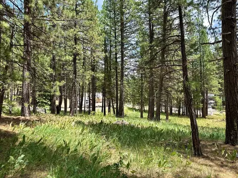 247 Gold Nugget Ln, Graeagle, CA 96103 photo 21
