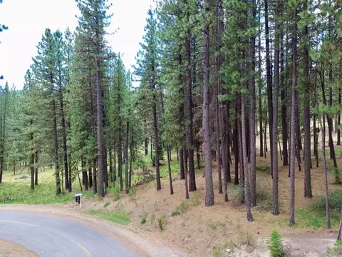 247 Gold Nugget Ln, Graeagle, CA 96103 photo 19