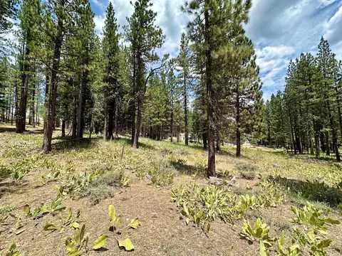 247 Gold Nugget Ln, Graeagle, CA 96103 photo 24