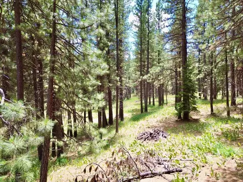 247 Gold Nugget Ln, Graeagle, CA 96103 photo 11