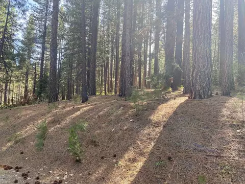 247 Gold Nugget Ln, Graeagle, CA 96103 photo 5