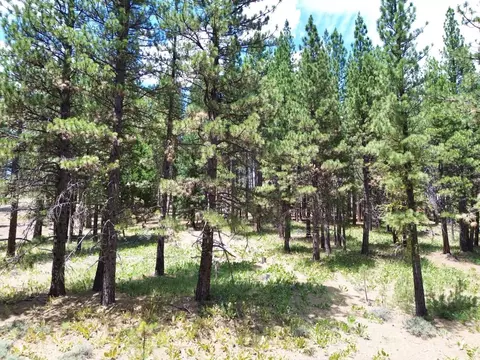 247 Gold Nugget Ln, Graeagle, CA 96103 photo 13
