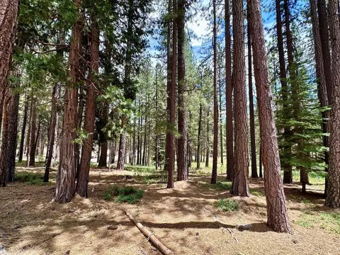 247 Gold Nugget Ln, Graeagle, CA 96103 photo 16